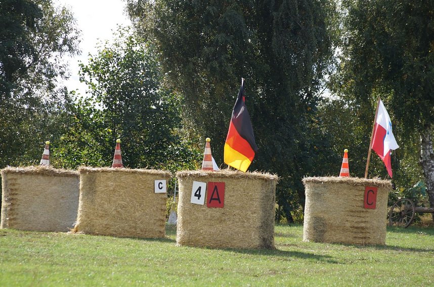 S&uuml;dharz Rallye f&uuml;r Pferdegespanne