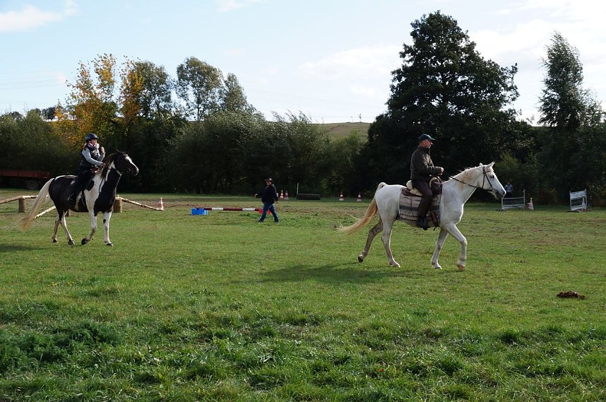 S&uuml;dharz Rallye f&uuml;r Pferdegespanne