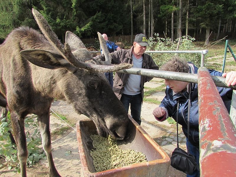 Der September im Seniorenzentrum Katharina-von-Bora