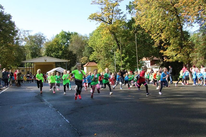 Herbst-Crosslauf im Gehege