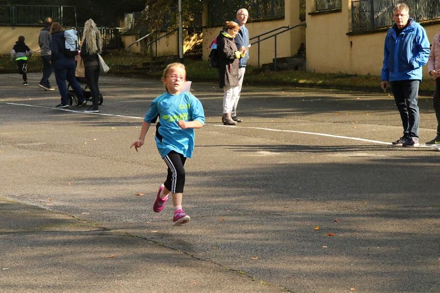 Herbst-Crosslauf im Gehege