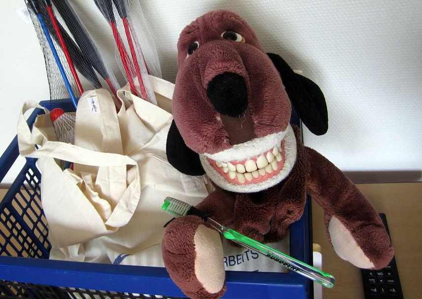 Tag der Zahngesundheit