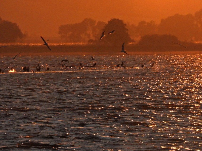 Abendstimmung am Stausee Kelbra