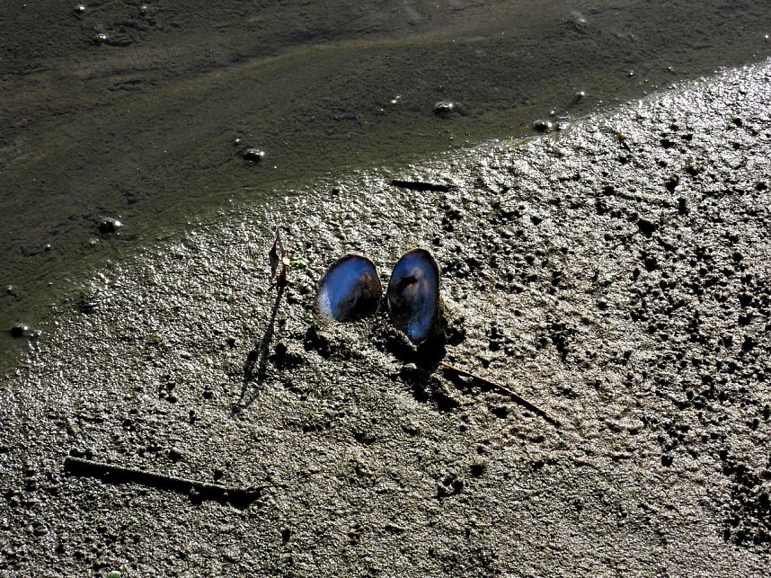 Peter Blei am Muldestausee