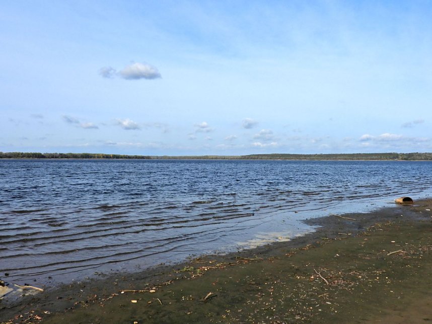 Peter Blei am Muldestausee