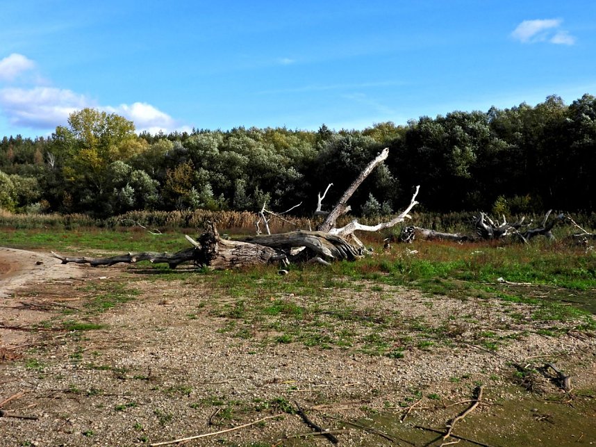 Peter Blei am Muldestausee