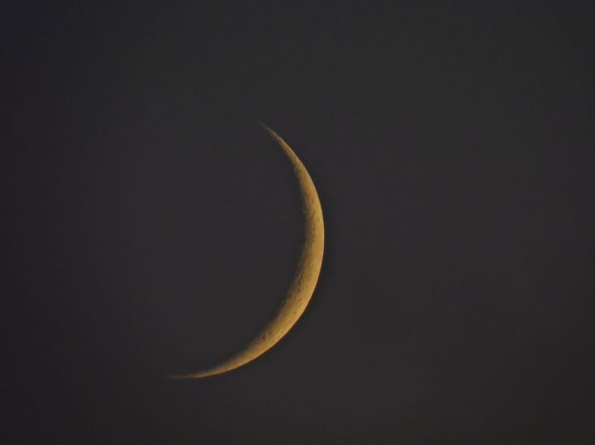 Die letzten Kraniche im Anflug