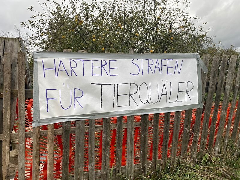 Tierschutzorganisation erhebt Vorw&uuml;rfe gegen Hundez&uuml;chterin aus Bleicherode