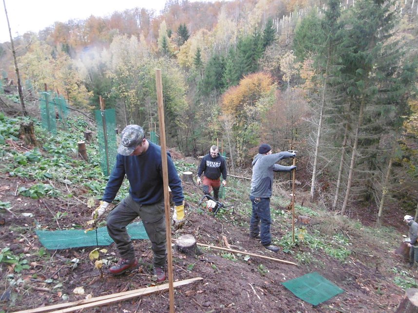 Pflanzaktion Appenrode