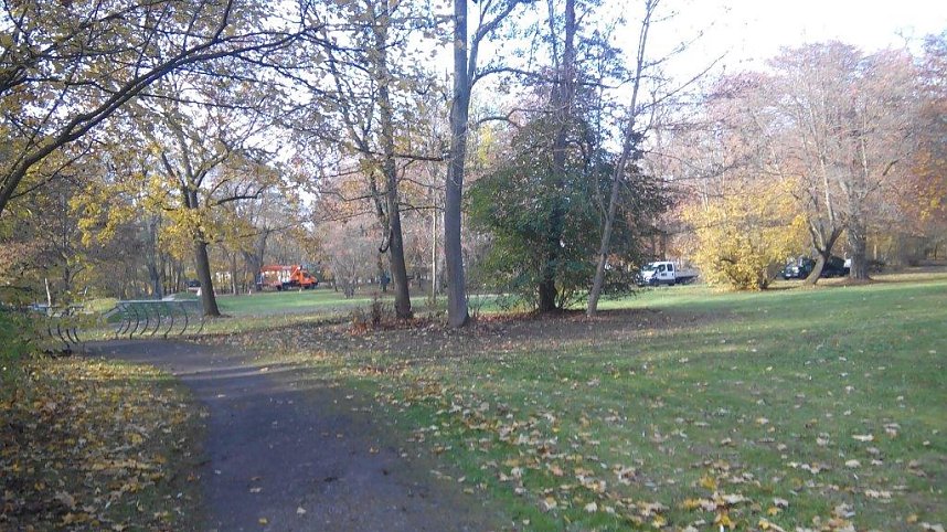 Im Stadtpark: Derzeit herrscht emsige Gesch&auml;ftigkeit im Stadtpark.