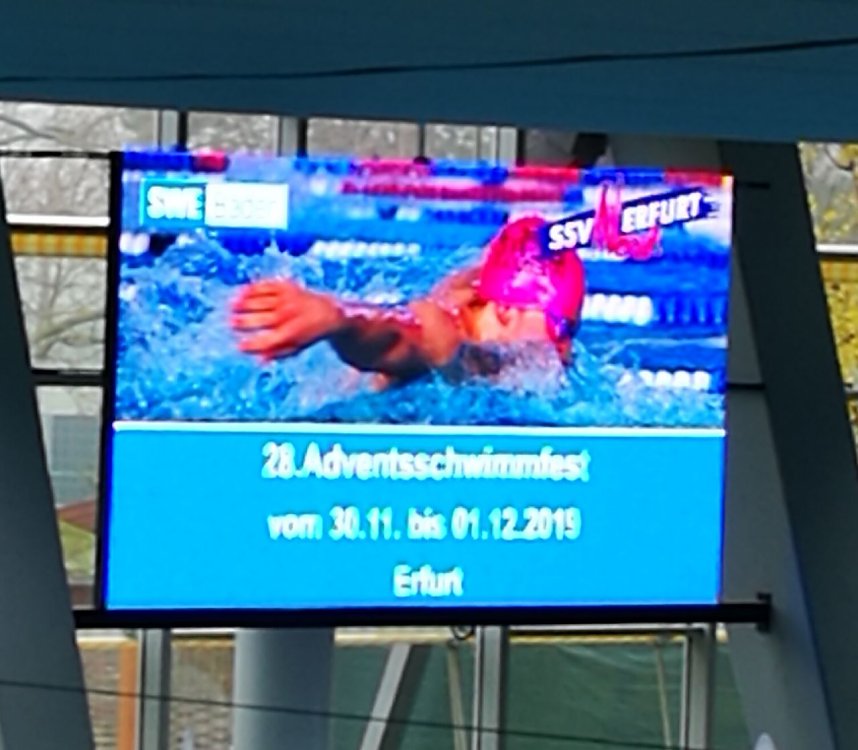 Die jungen Schwimmerinnen und Schwimmer des SVN beim Adventsschwimmen in Erfurt