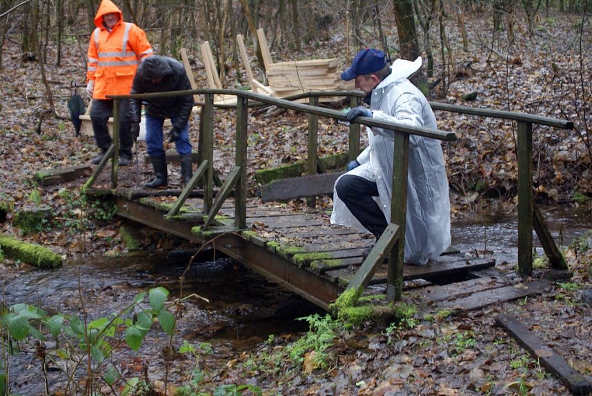 Br&uuml;cke &uuml;ber Kappelbach