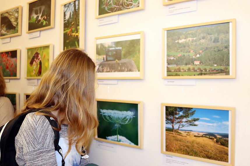 Mein Lieblingsplatz im Gipskarst - Ausstellung er&ouml;ffnet