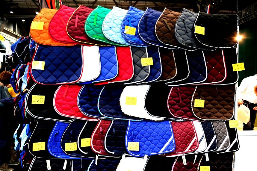 Peter Blei auf der "Partner Pferd" in Leipzig