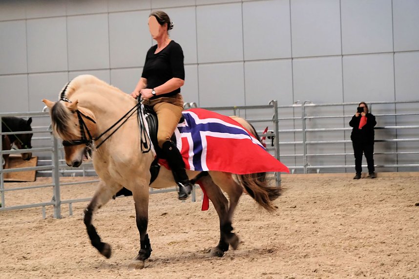 Peter Blei auf der "Partner Pferd" in Leipzig