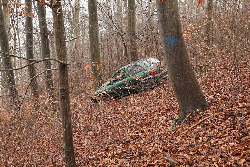 auto im Wald