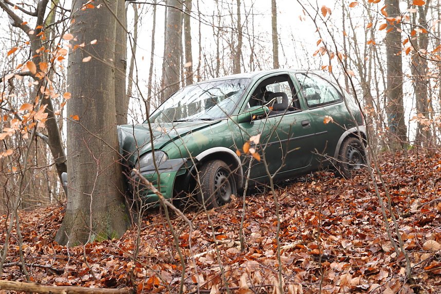 auto im Wald