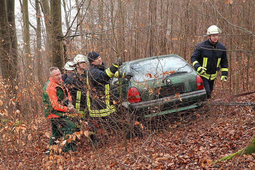 auto im Wald