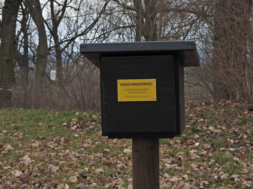 Winterlinge im Februar