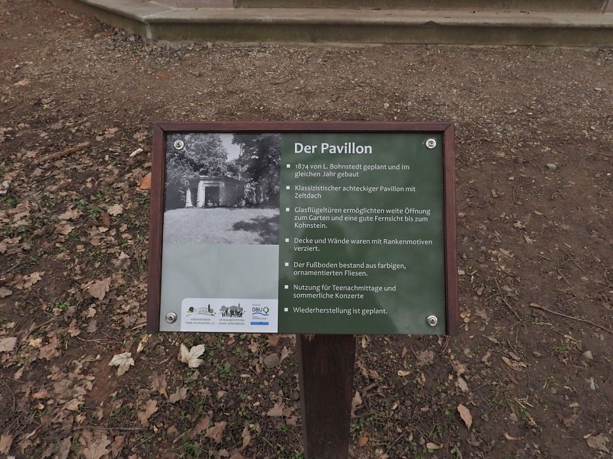 Winterlinge im Februar