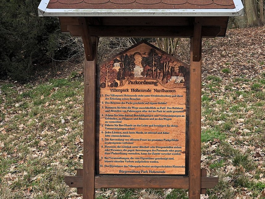 Winterlinge im Februar