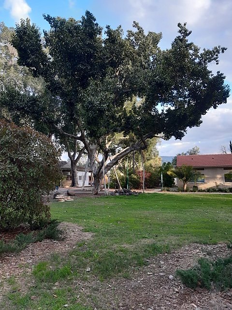 Die Reisegruppe aus Nordhausen verbrachte am Montag einen Tag am See Genezareth