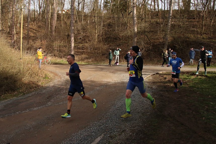 42. Albert-Kuntz Lauf