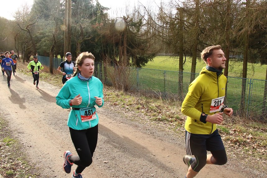 42. Albert-Kuntz Lauf