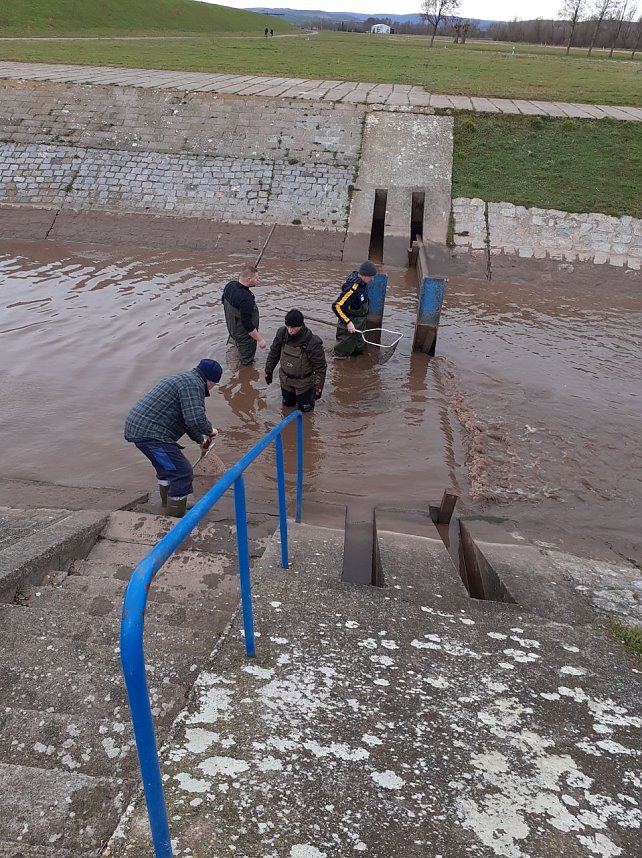 Notabfischunbg Kelbra