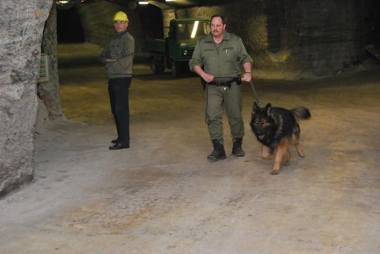 Salzstaub gesch&uuml;ffelt