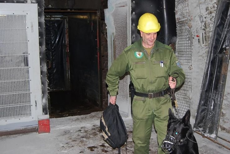 Salzstaub gesch&uuml;ffelt