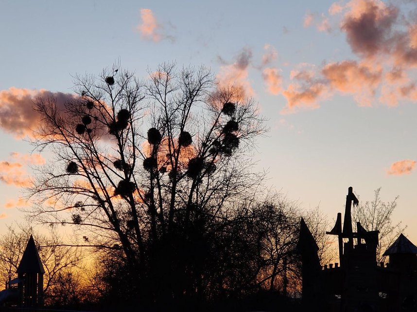Abendstimmung auf dem Petersberg