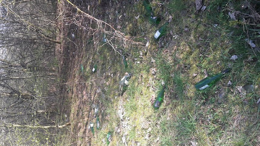 Sauerei in Nordhausen-Nord