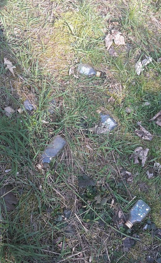 Sauerei in Nordhausen-Nord