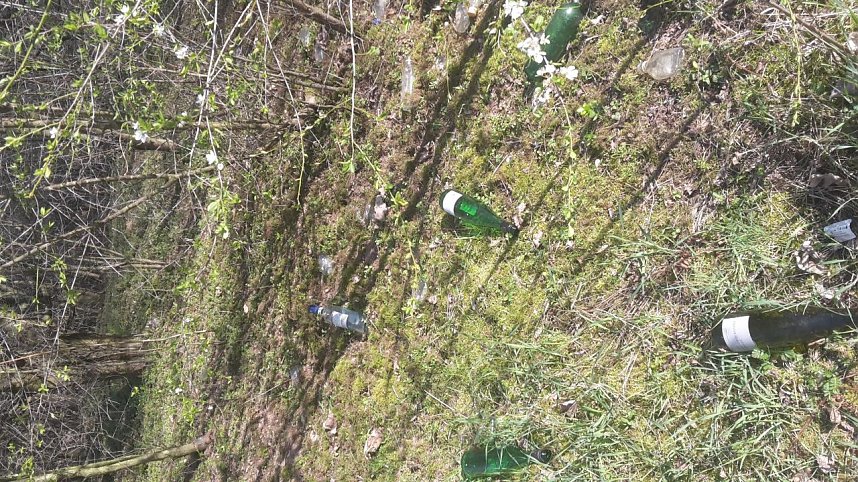 Sauerei in Nordhausen-Nord