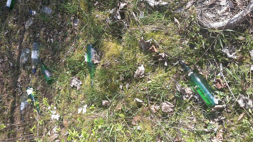 Sauerei in Nordhausen-Nord