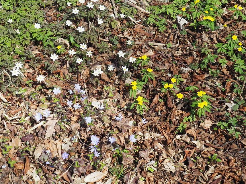 Besuch auf dem Possen