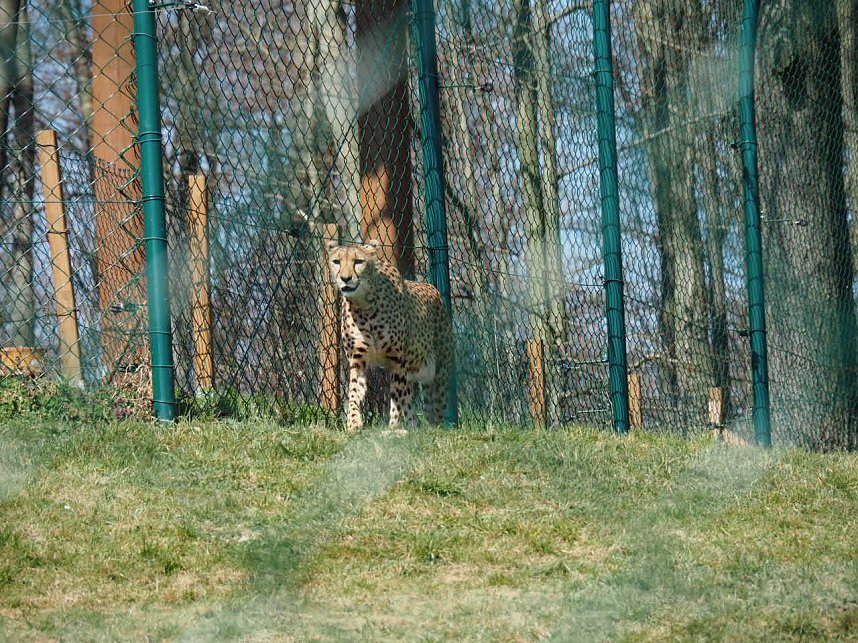 Besuch auf dem Possen