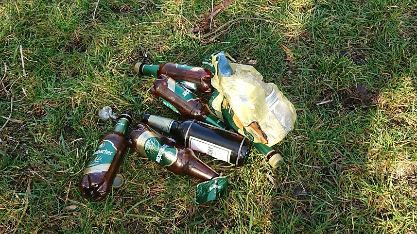 M&uuml;llhalde am M&ouml;wensee