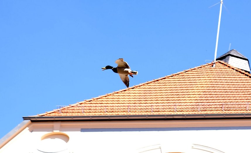 Unterwegs an der Zorge