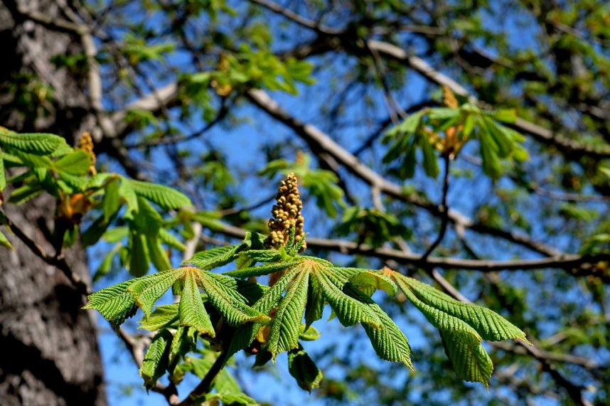 Unterwegs an der Zorge