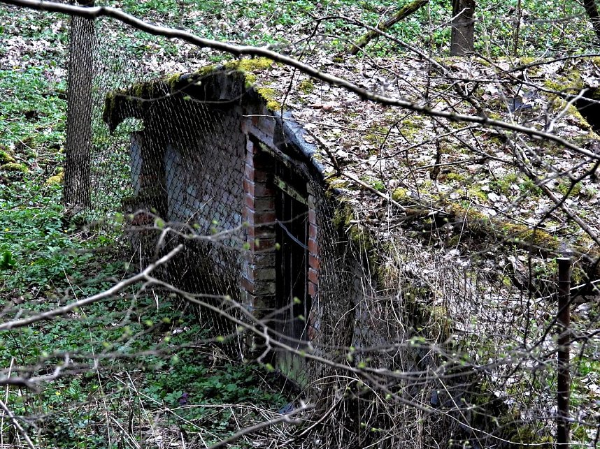 Unterwegs im Brandesbachtal