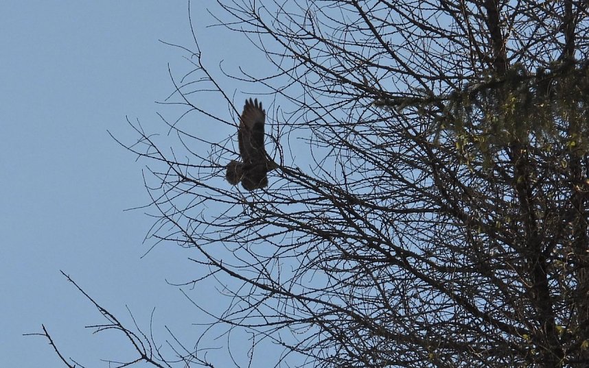 Unterwegs im Brandesbachtal