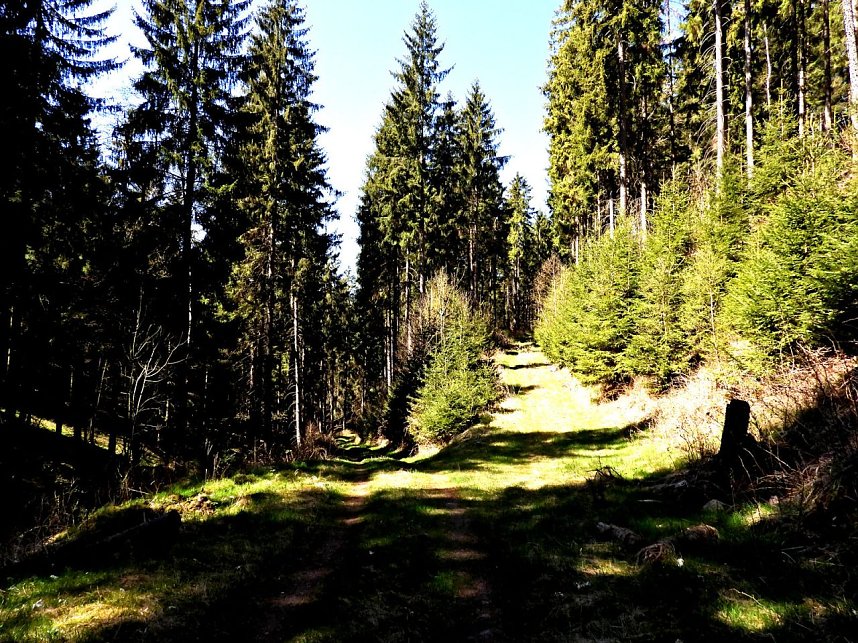 Peter Blei unterwegs an der Eisfelder Talm&uuml;hle