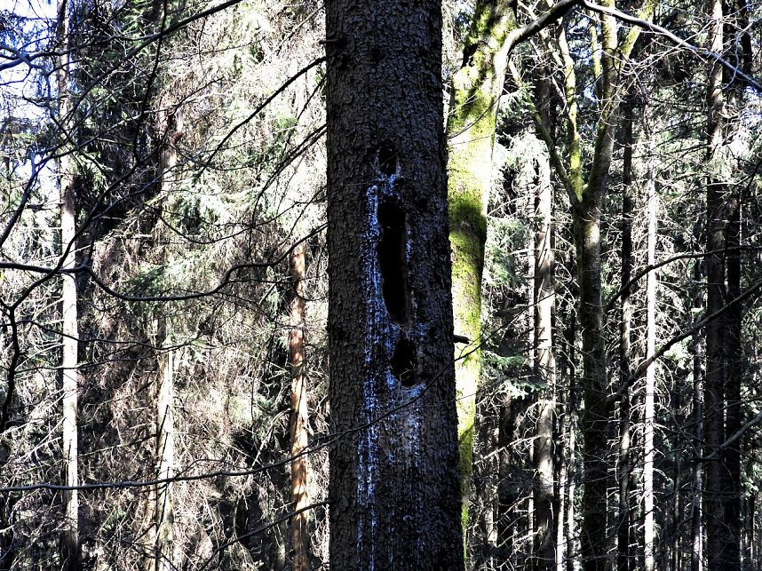 Peter Blei unterwegs an der Eisfelder Talm&uuml;hle