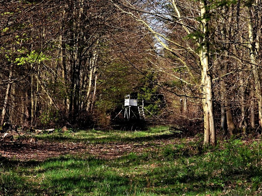Peter Blei unterwegs an der Eisfelder Talm&uuml;hle