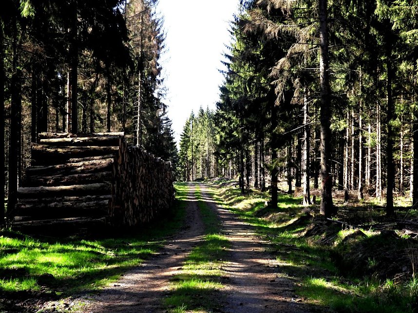 Peter Blei unterwegs an der Eisfelder Talm&uuml;hle
