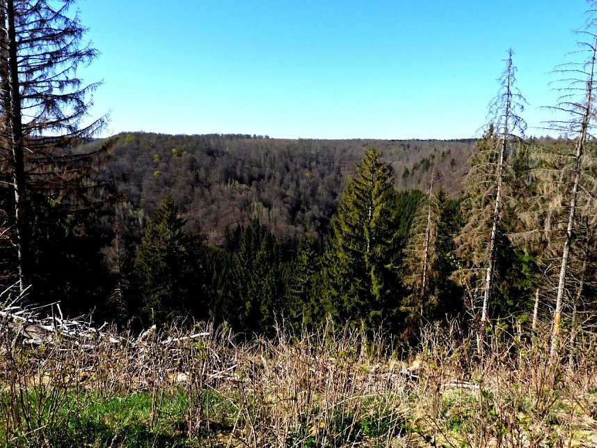 Peter Blei unterwegs an der Eisfelder Talm&uuml;hle