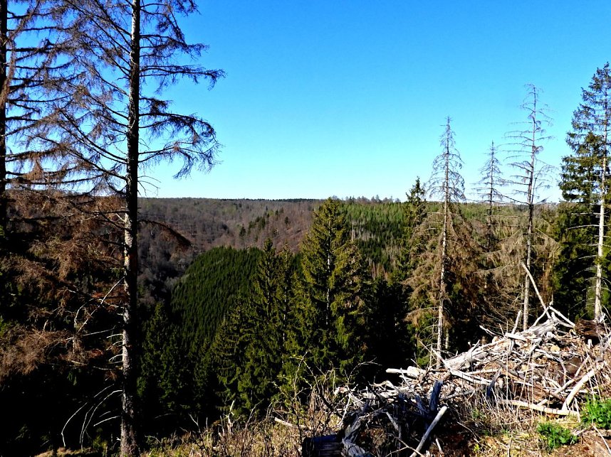 Peter Blei unterwegs an der Eisfelder Talm&uuml;hle