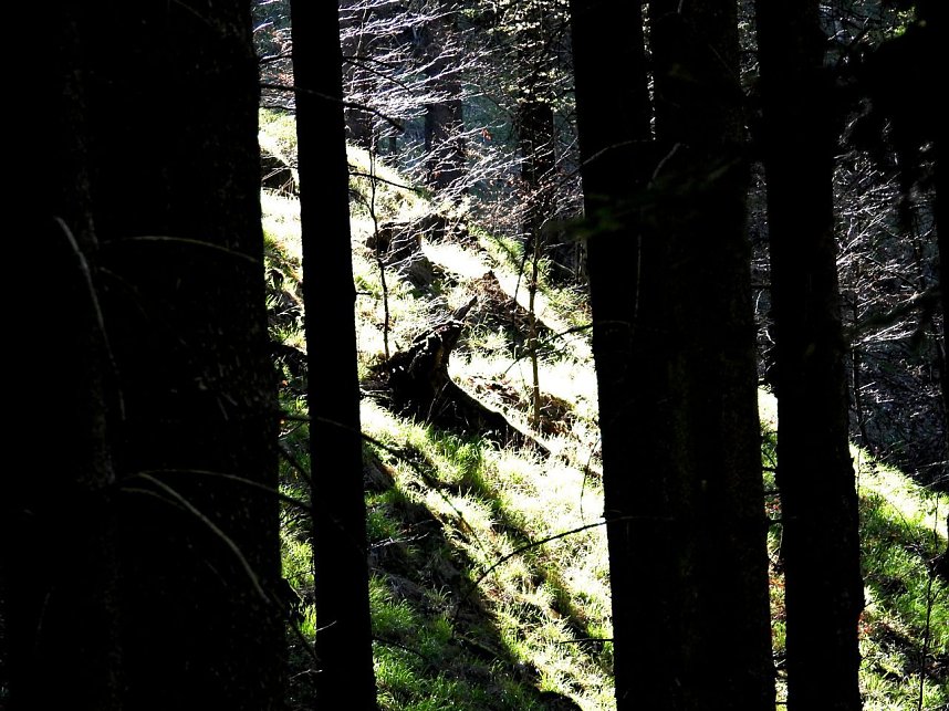 Peter Blei unterwegs an der Eisfelder Talm&uuml;hle